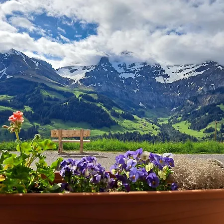 Sonnen-panorama