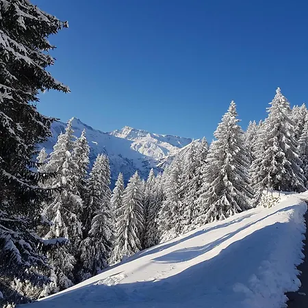 Sonnen-panorama *