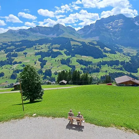 Sonnen-panorama * Adelboden