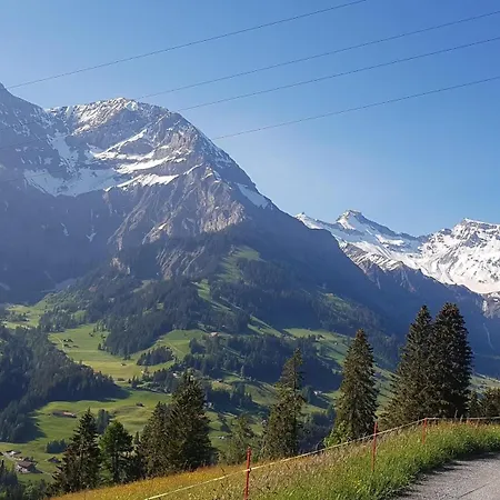 Sonnen-panorama Apartment Adelboden