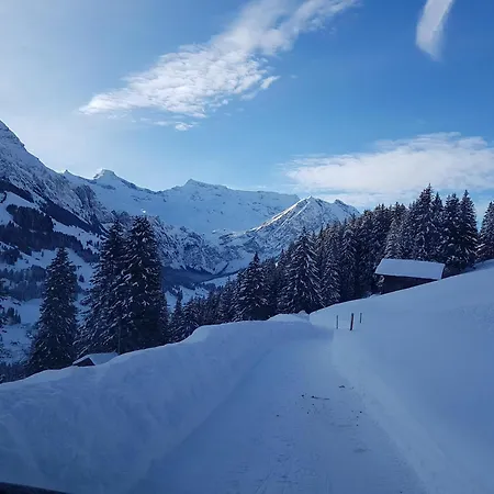 Lägenhet Sonnen-panorama
