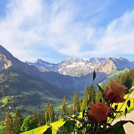 Sonnen-panorama Apartment Adelboden