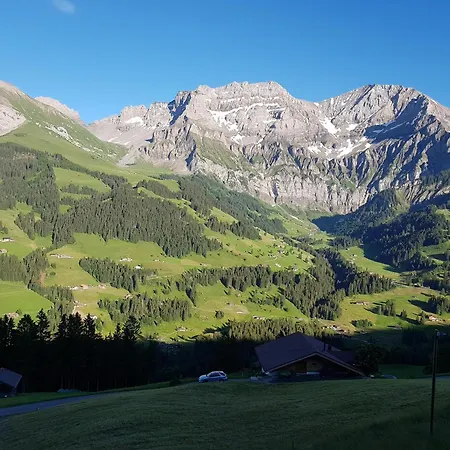 Sonnen-panorama Apartment Adelboden
