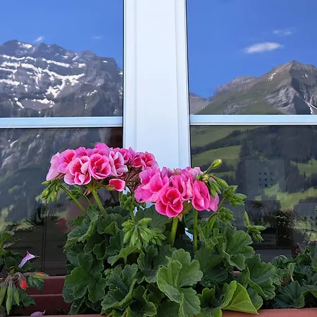 Apartmán Sonnen-panorama *