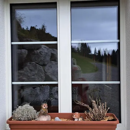 Apartmán Sonnen-panorama Adelboden
